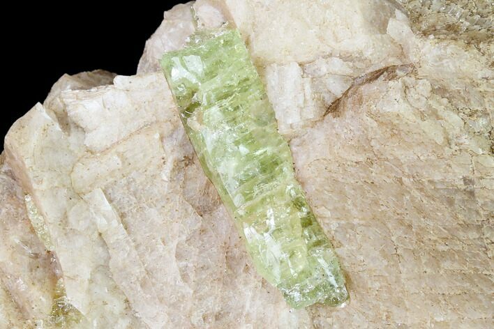 Yellow-Green Fluorapatite Crystal in Calcite - Ontario, Canada #137104